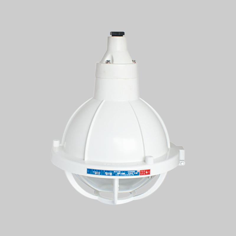 人民电器，人民电器集团，人民电器集团有限公司，中国人民电器，FAD-S系列防水防尘防腐灯