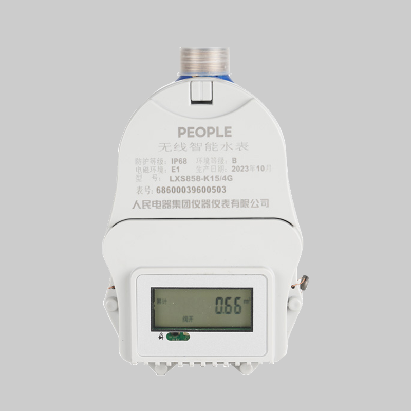 人民电器，人民电器集团，人民电器集团有限公司，中国人民电器，NB-IOT/4G物联网水表、LXS无线远传水表