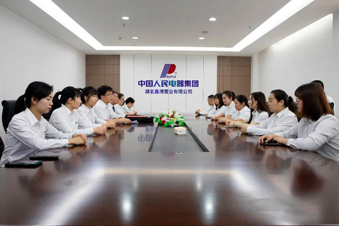 人民电器,人民电器集团,中国人民电器集团